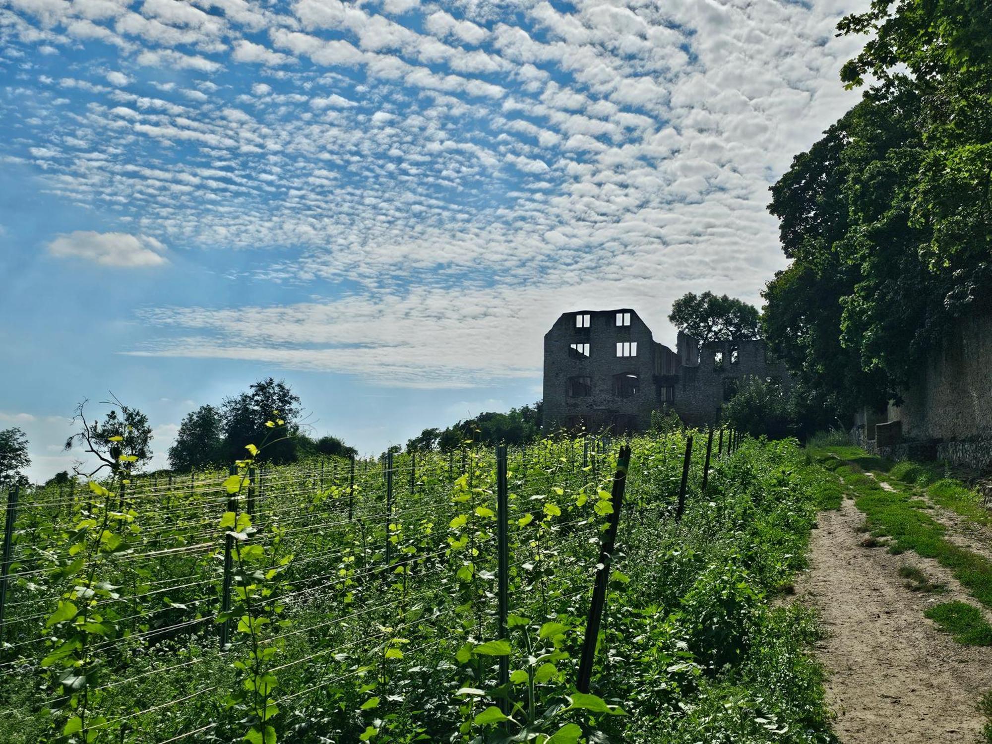Moderne Doppelhaushaelfte In Oppenheim Villa Екстериор снимка